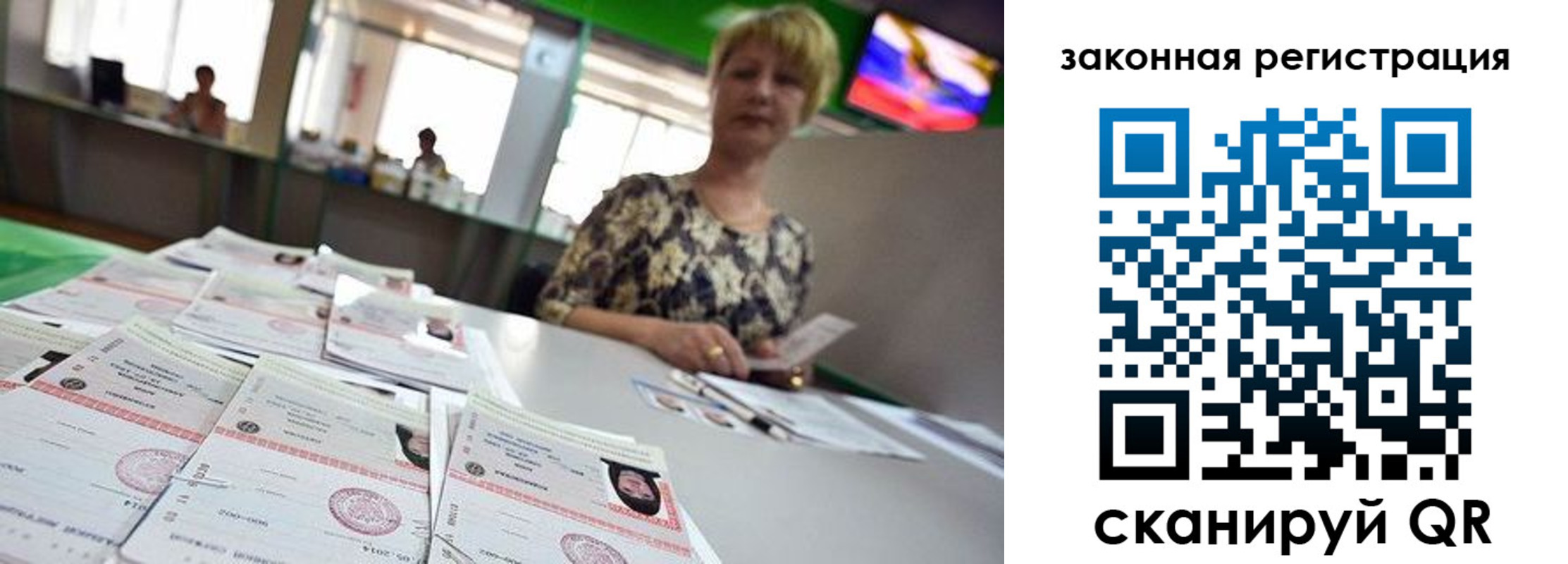 прописка поиск в Сельцо